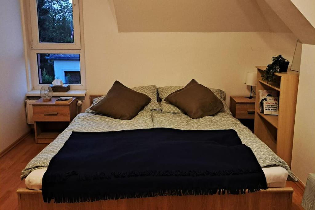 Zoeld Orom Apartman Lakas Göd 外观 照片